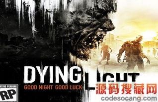 ���ŵĹ�â �޸������� �����޸���ʹ�÷���