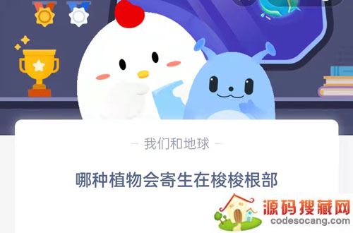 ׯ԰1123մ-ׯ԰մ11.23