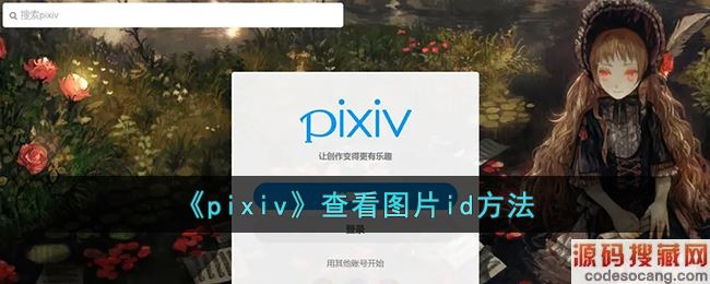pixiv鿴ͼƬid