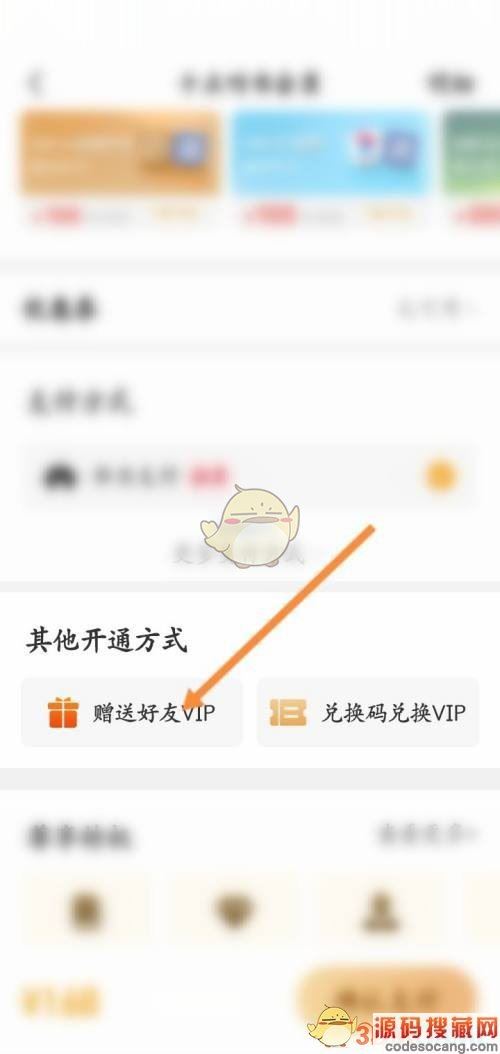 ʮ顷ͺvip