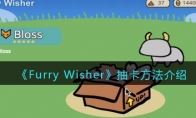Furry Wisher鿨