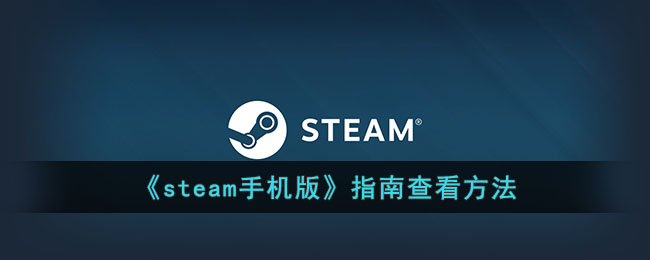 steamֻ桷ָϴ򿪷