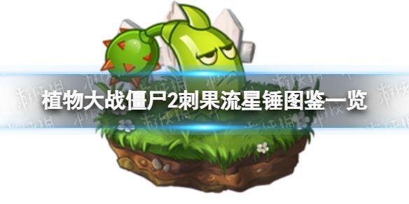 刺果流星锤图鉴一览_源码搜藏网