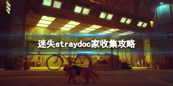 ʧstrayDocDocռ