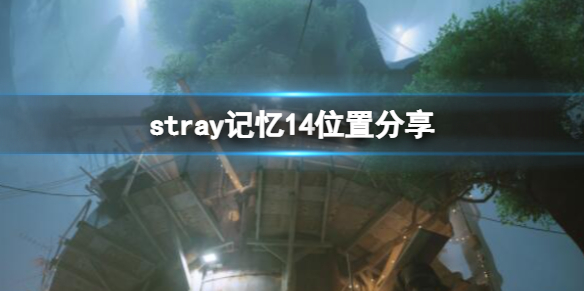 ʧstray14ã14λý