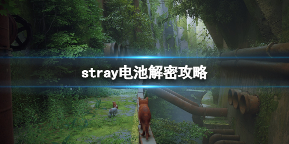 ʧstrayôãؽܹ