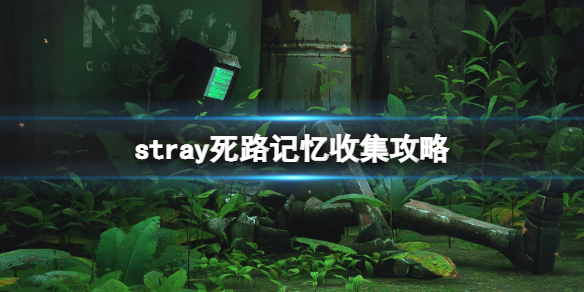 ʧstray·ռ ·ģ