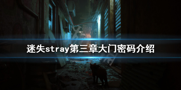 ʧ´ʲôstray´