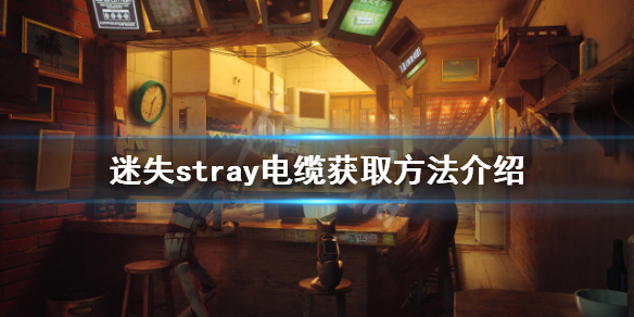 ʧôãstray»ȡ