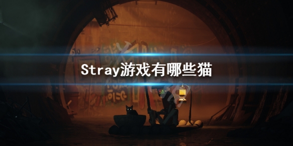 ʧStrayϷЩèStrayϷèƷֽ