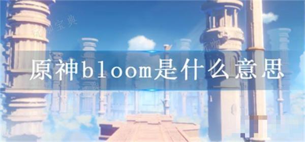 ԭbloomʲô˼