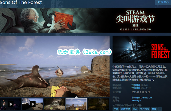 ɭ֮steamʲô