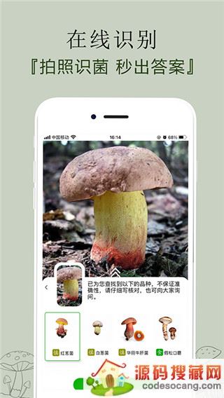 菌窝子app下载