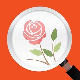 �������������İ�����