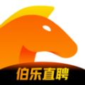 伯乐直聘日结兼职 V2.0.13