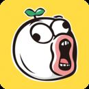 ��������V8.1.3