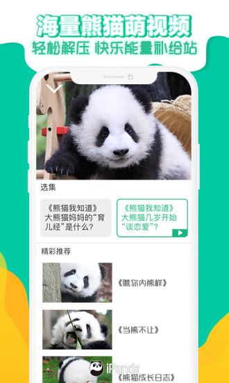 熊猫频道app 熊猫频道最新版下载