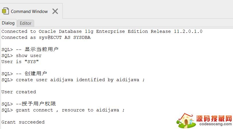 PLSQL Developerʹ÷