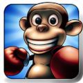 monkey boxing